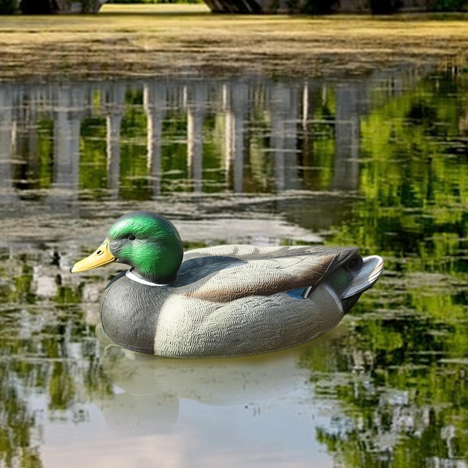 Decoy Duck Plastic - Leurre de chasse en plastique parfaitement