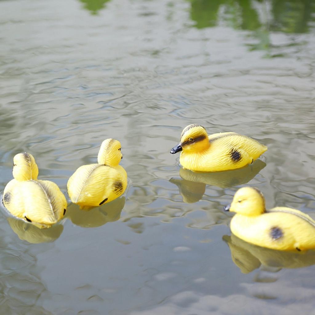 Decoy Duck Plastic - Canard flottant canard canard, 5 pièces,