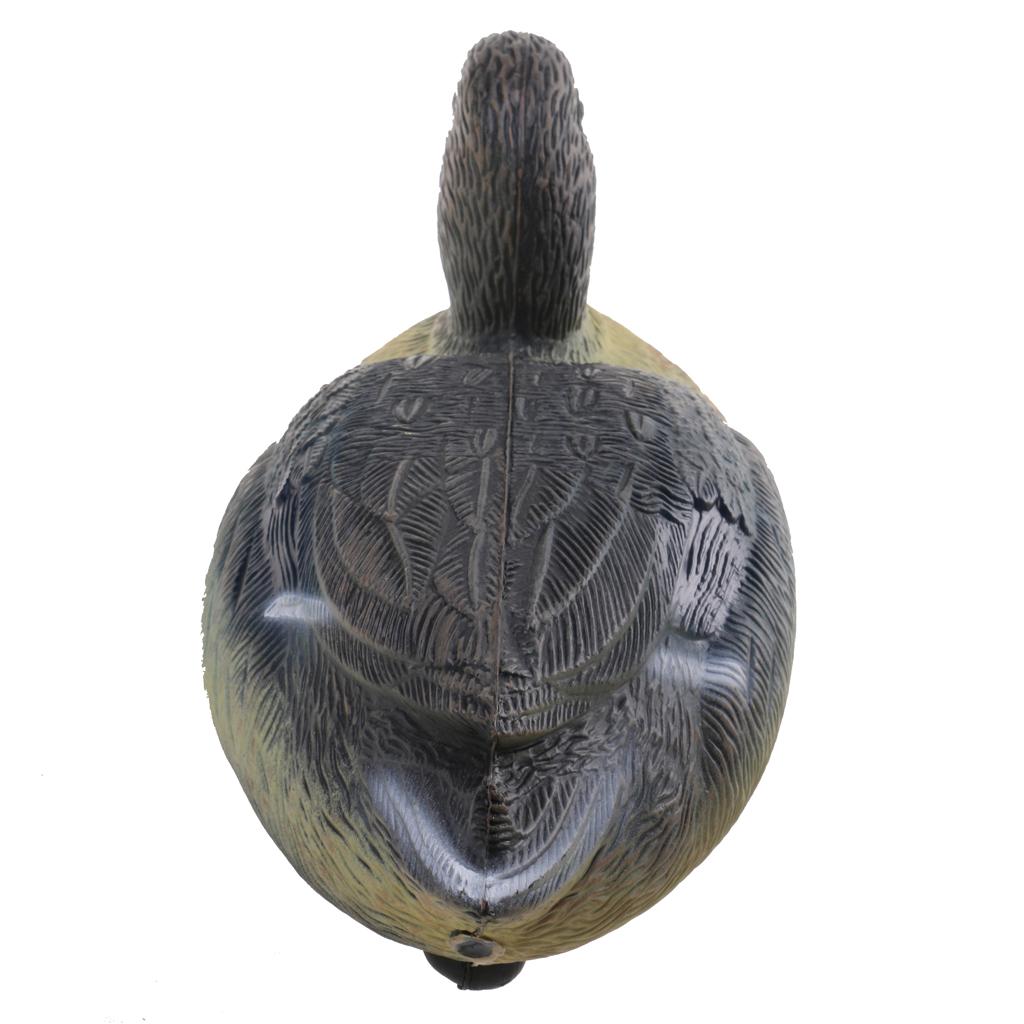 Décoy de canard en plastique d - Decoy Duck Plastic avis et prix