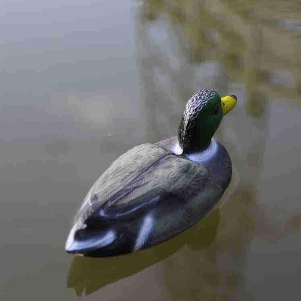 1 pièce Canard réaliste en pla - Decoy Duck Plastic avis et prix