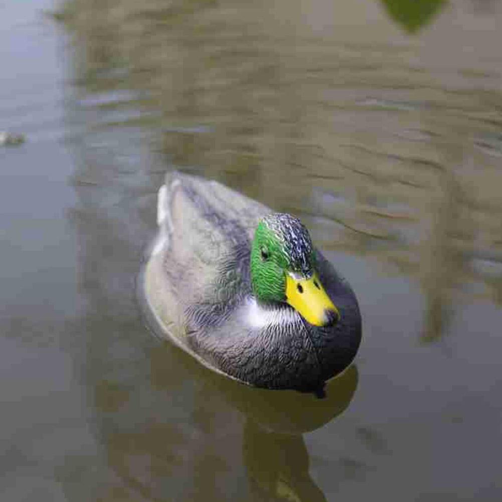 Décoy de canard réaliste en pl - Decoy Duck Plastic avis et prix