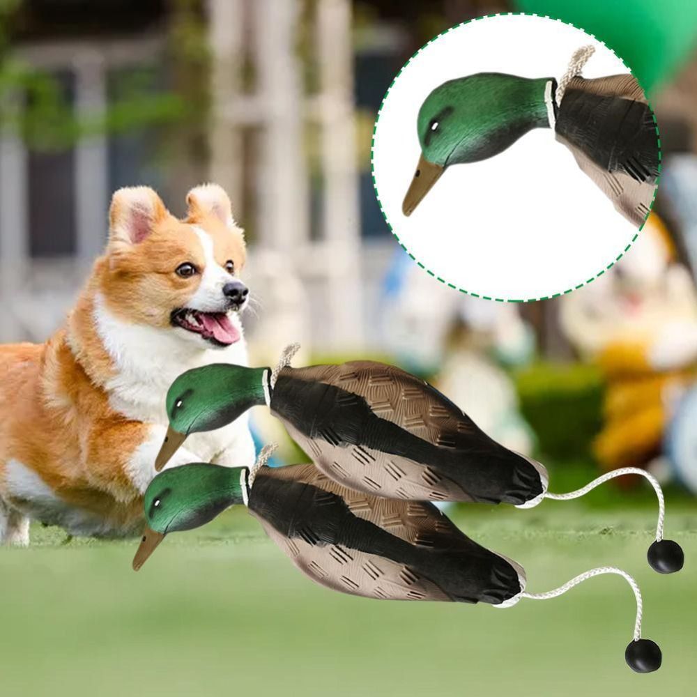 Mallard canard leurre chien jo - Decoy Duck Plastic avis et prix