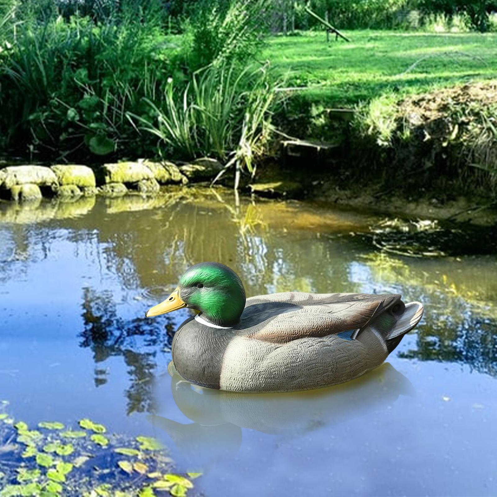 Leurre de chasse en plastique  - Decoy Duck Plastic avis et prix