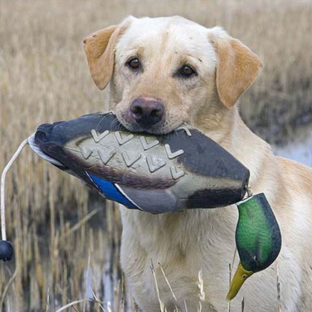 Canard colvert Élà mâcher pour - Decoy Duck Plastic avis et prix