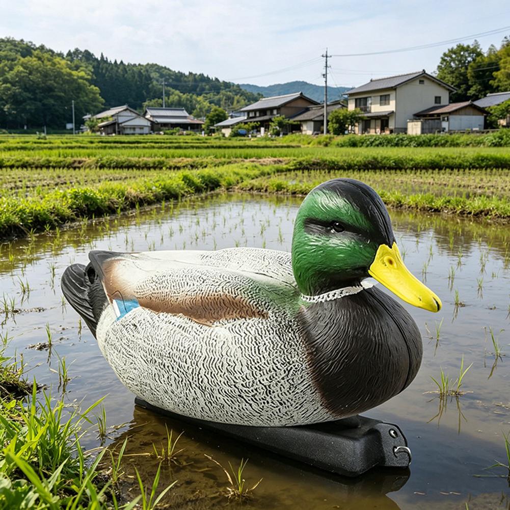 Leurre de chasse flottant 3D r - Decoy Duck Plastic avis et prix